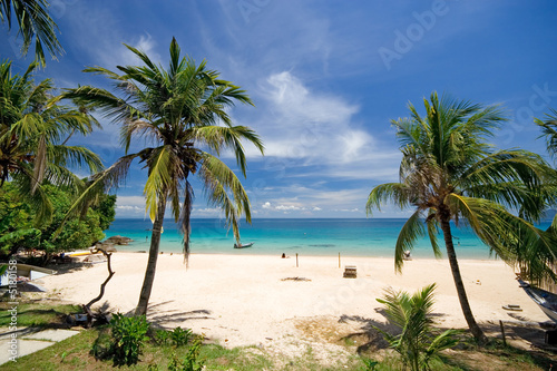 Fototapeta Naklejka Na Ścianę i Meble -  Tropical Beach View With Palm Trees