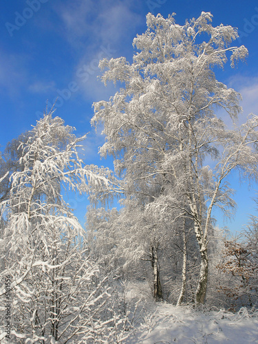 winter