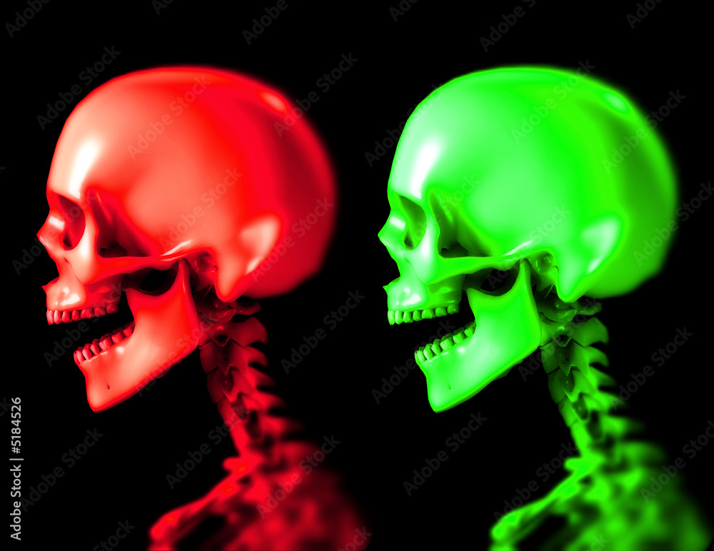 Two Skull 5 Two Skull 5