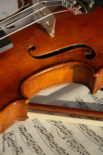 Violine photo