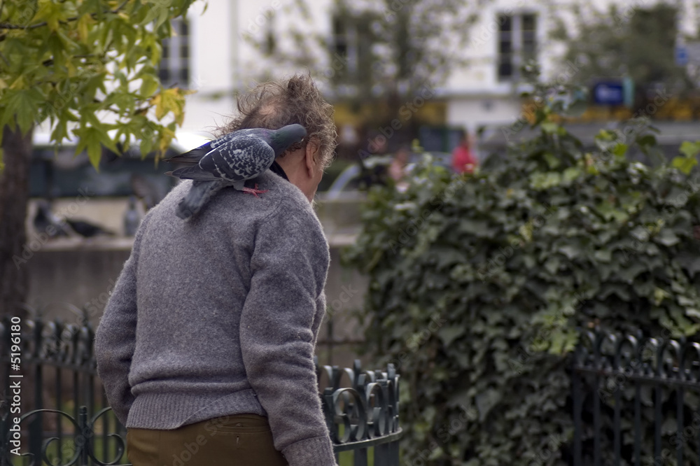 Fototapeta premium Le clochard et le pigeon