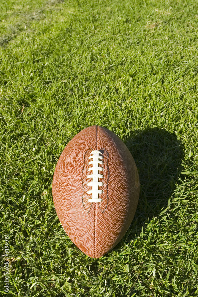 Obraz premium Foot Ball and grass