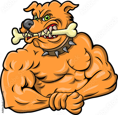 Big Dog