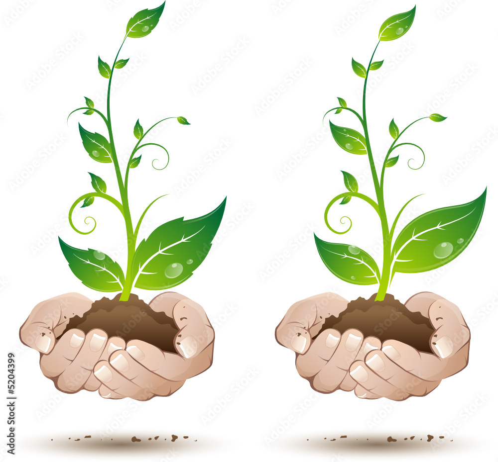 Jeune plante au creux des mains, image vectorielle