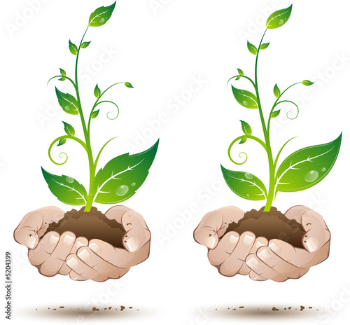 Jeune plante au creux des mains, image vectorielle
