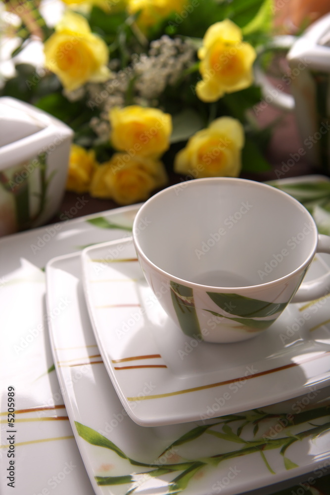 Beauty porcelain pottery Beauty porcelain pottery