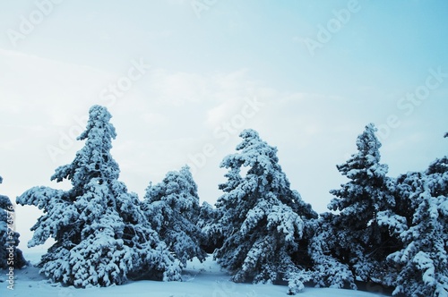 Winter landscapes
