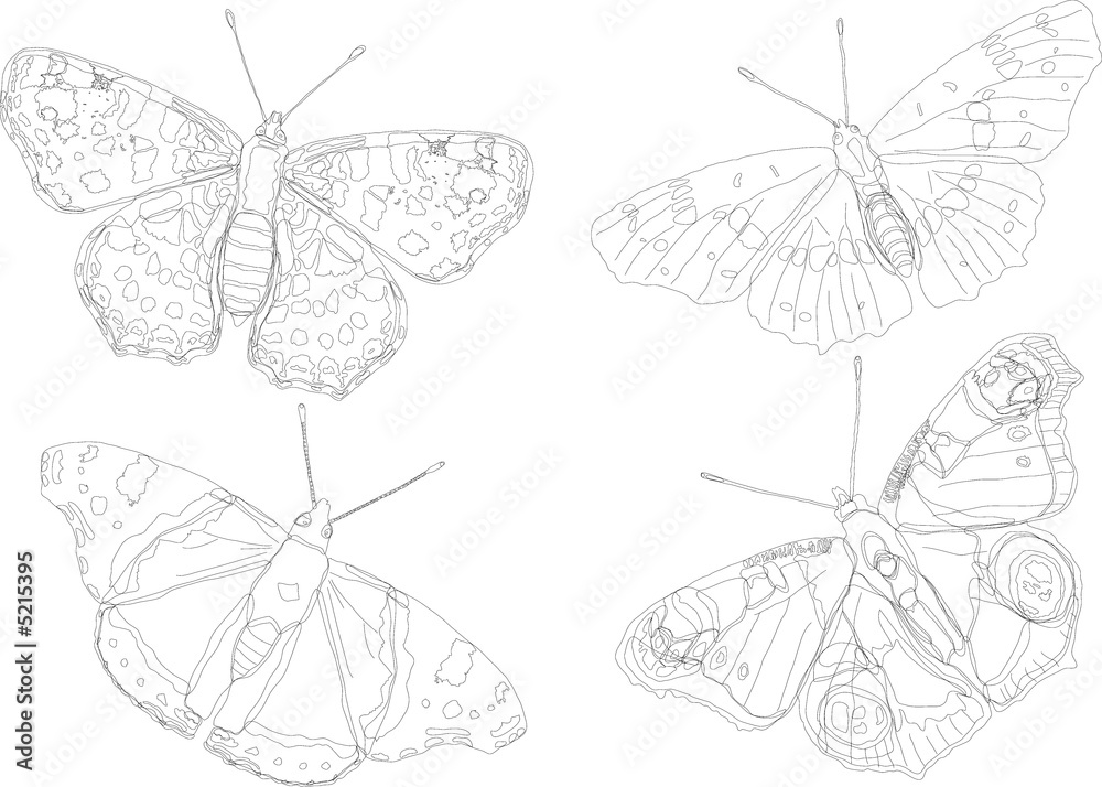 Obraz premium butterfly silhouette collection