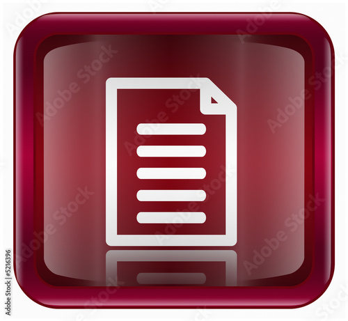 Document icon, isolated on white background.