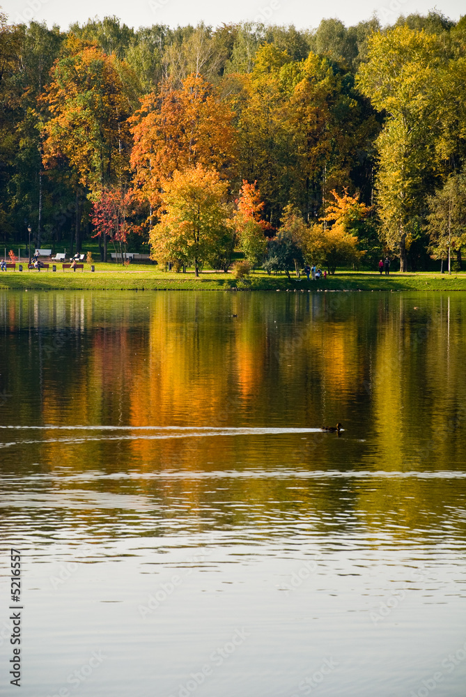 reflexion of the autumn reflexion of the autumn