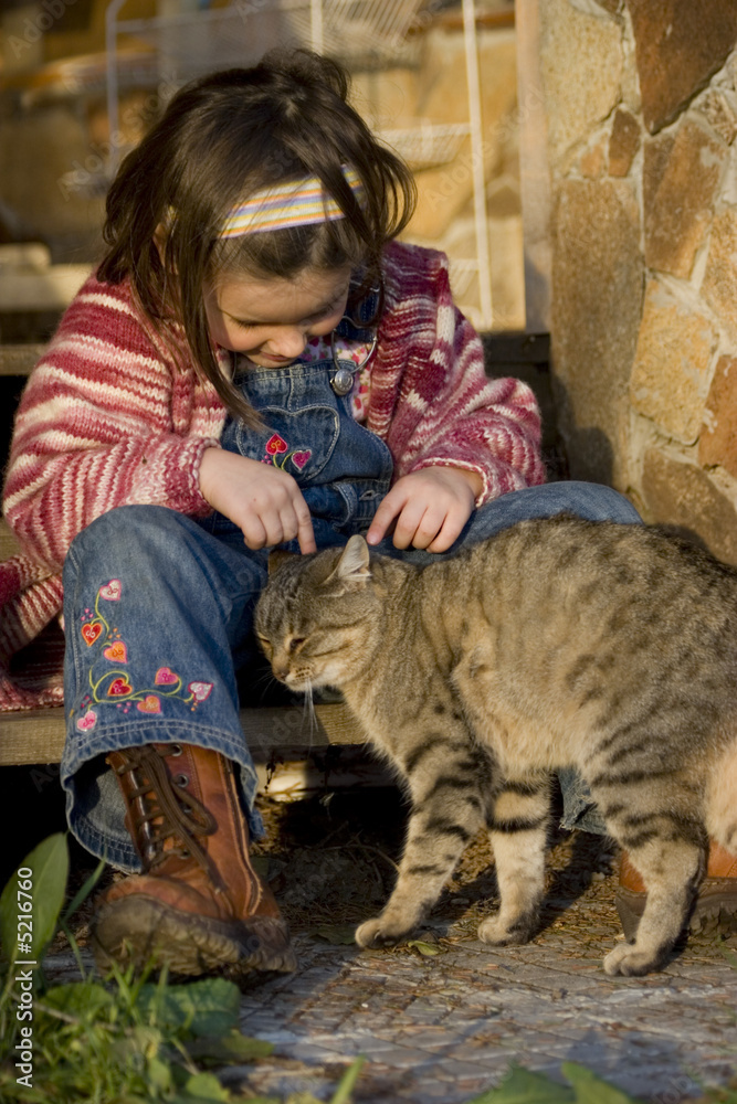 The cat