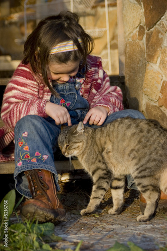 The cat 