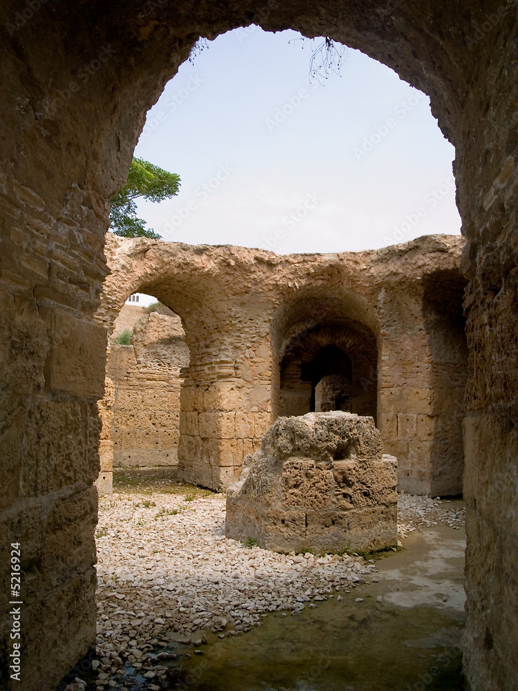 Carthage ruins Tunisia
