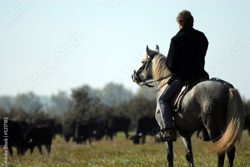 guardian photo