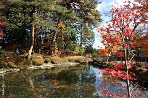 Japon en Otoño II