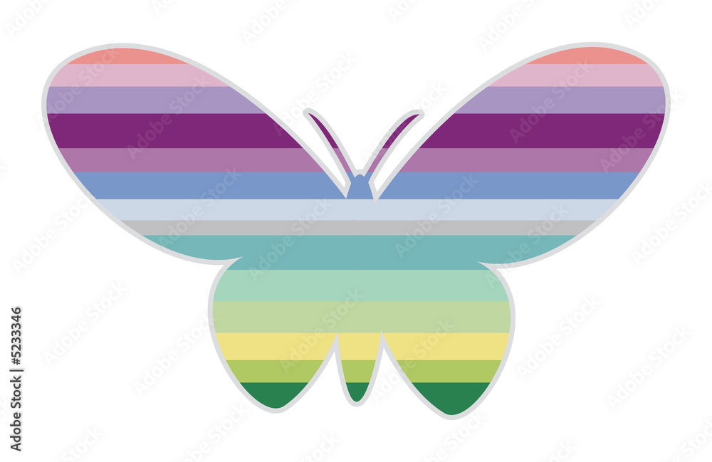 striped butterfly III striped butterfly III