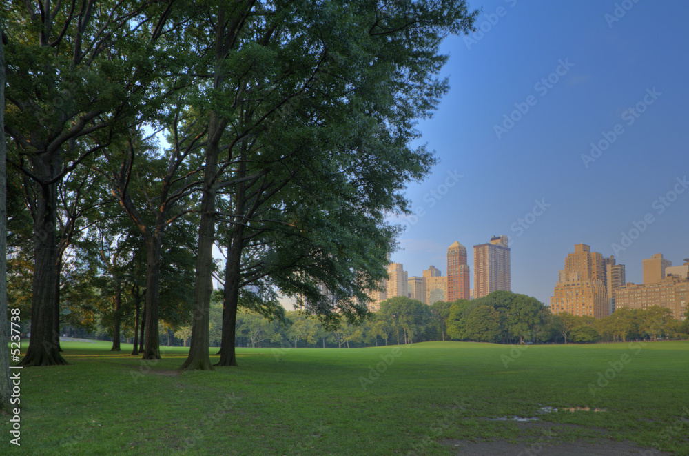 Obraz premium Central Park great lawn