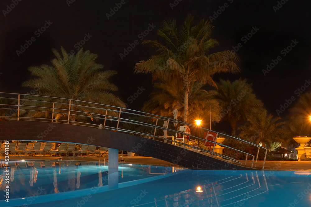 Swimming pool, night and palm trees