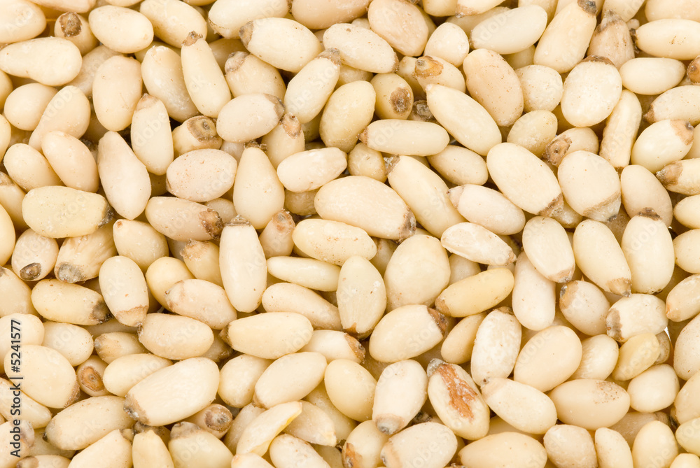 fresh pine nuts fresh pine nuts