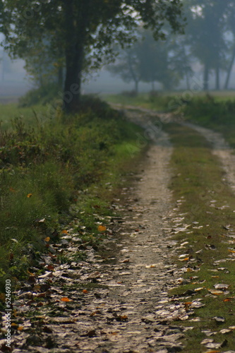 in country side