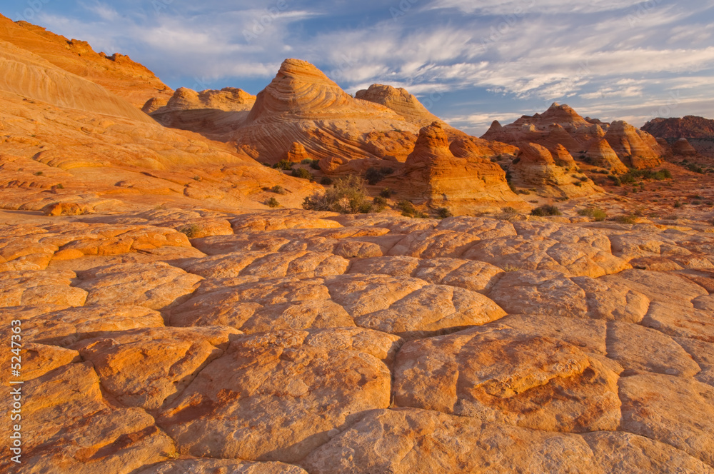 Fototapeta premium Coyote Buttes Paria Canyon-Vermillion Cliffs Wilderness Area