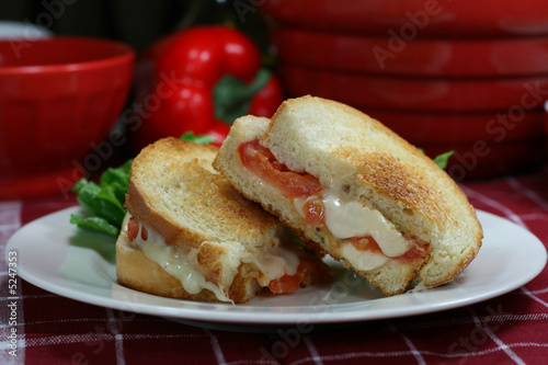 Grilled Cheese Sandwich