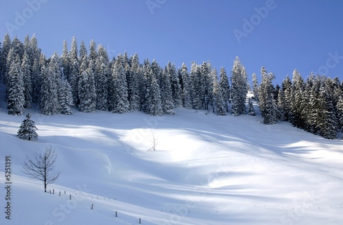 Winterlandschaft © Augenblick