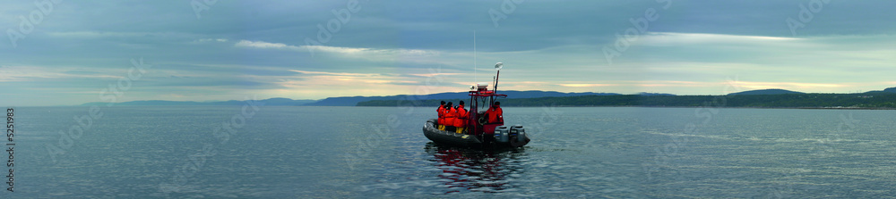 Obraz premium whale watching