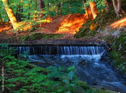 Brook in wood with waterfall
