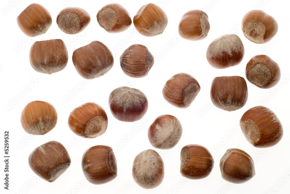 hazelnuts hazelnuts