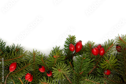 Red-green christmas arragement