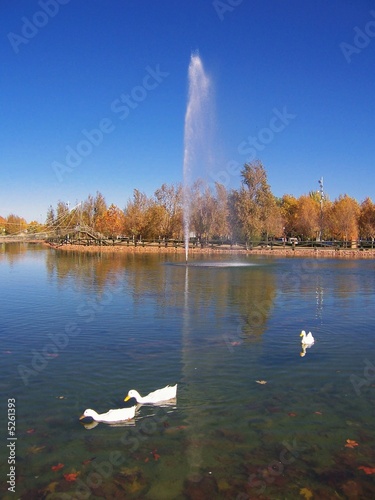 Lago en Don Benito 2 photo