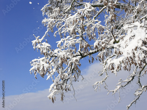 winter