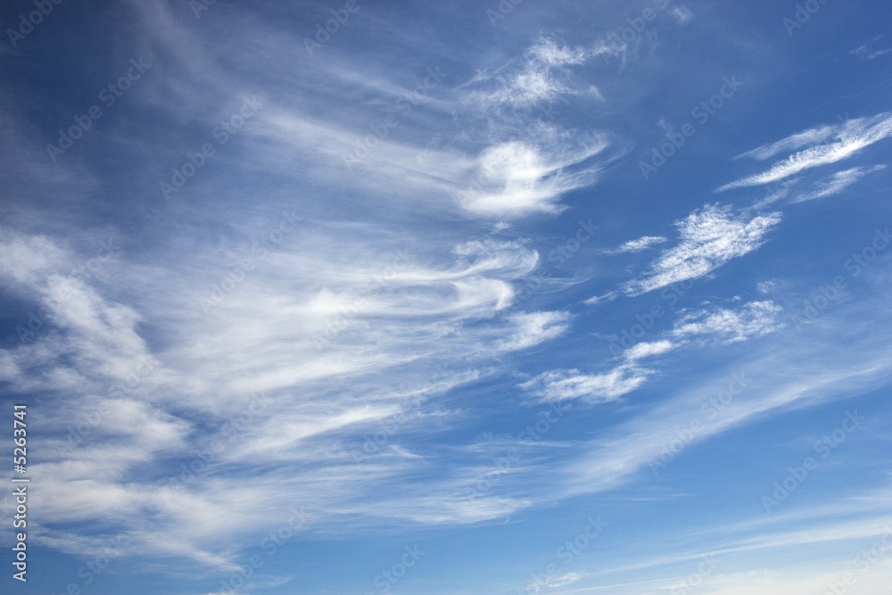 Cirrus clouds. Cirrus clouds.