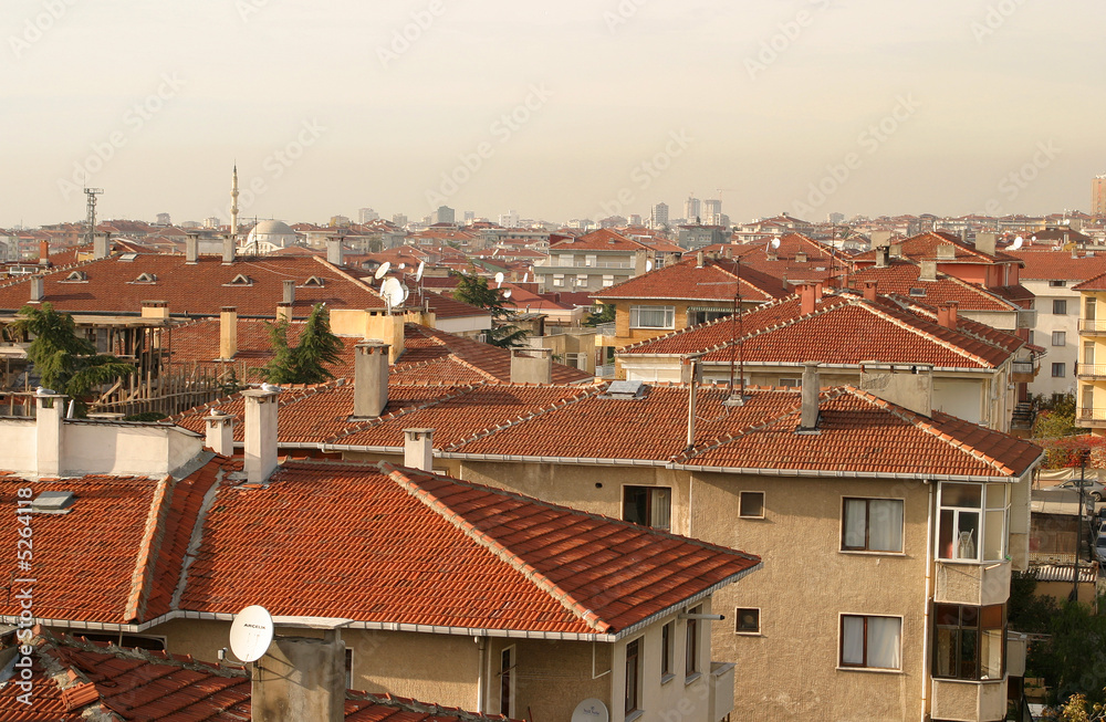 Istanbul roofscape