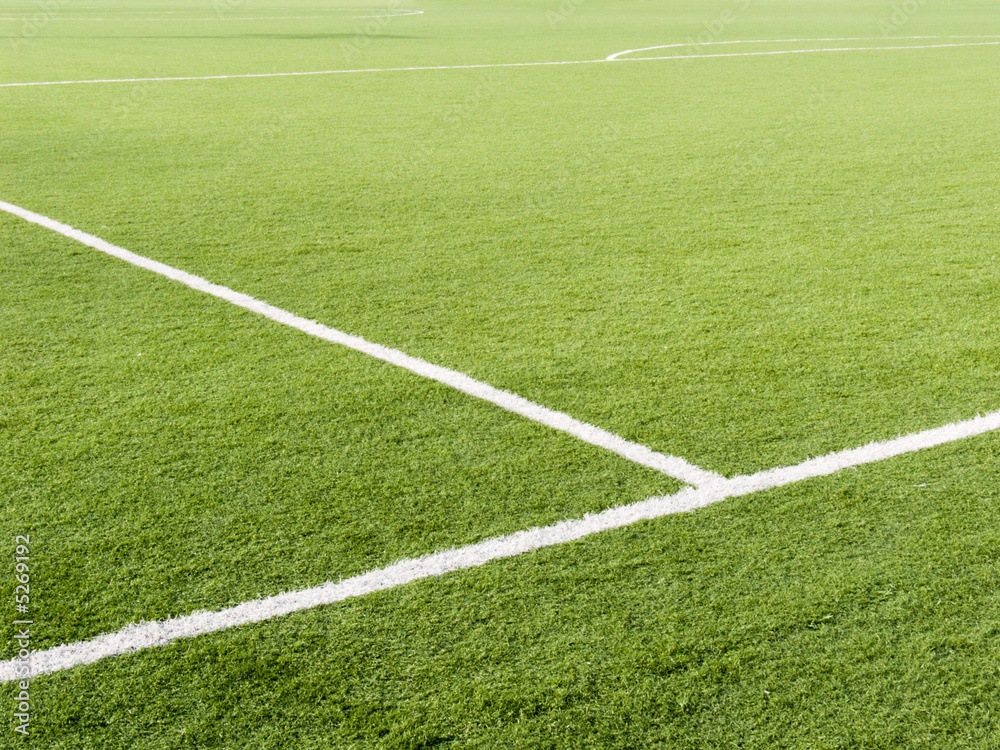 Fototapeta premium Soccer field