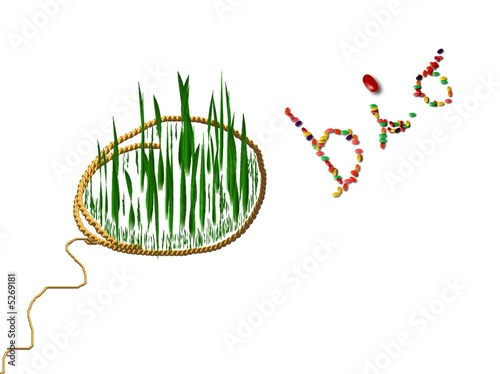 biologica photo