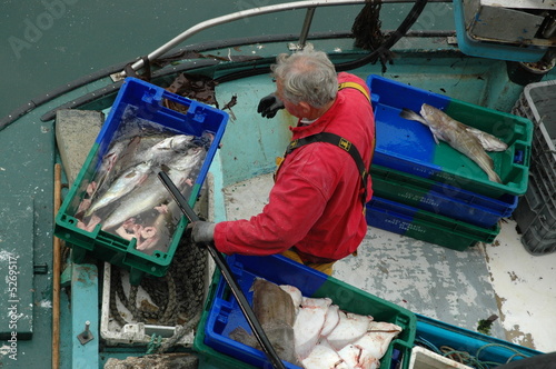 retour de pêche côtière