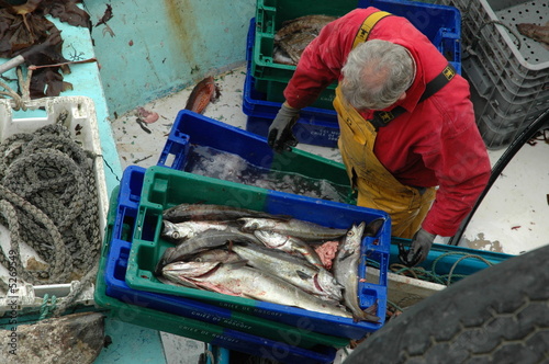 retour de pêche côtière