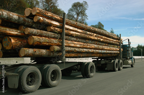 Logging truck