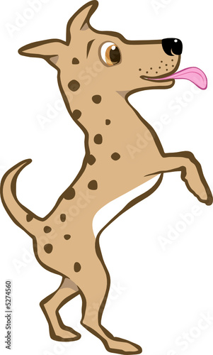 Happy dog
