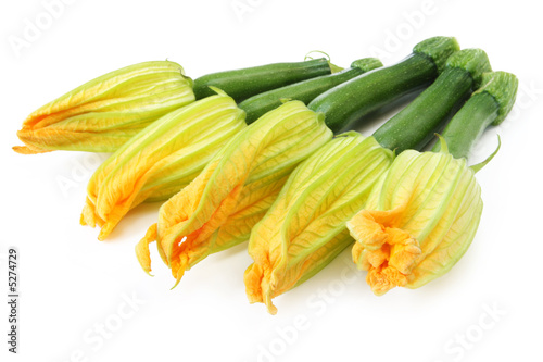 Zucchini Flowers