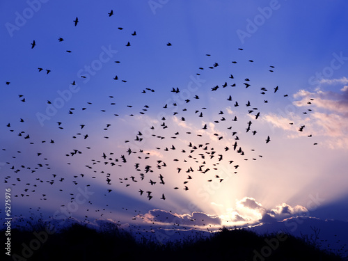 tramonto