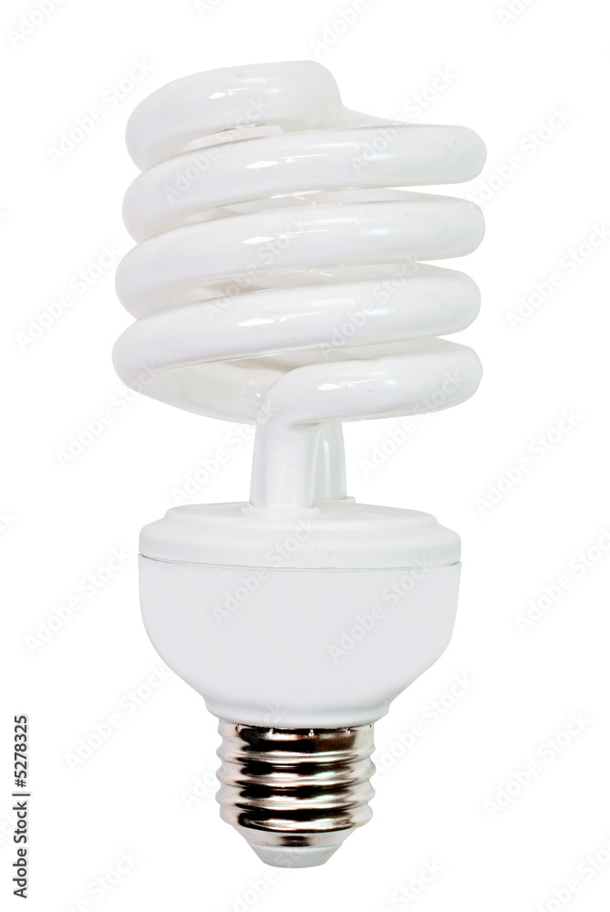 Compact Fluorescent Light Bulb Compact Fluorescent Light Bulb