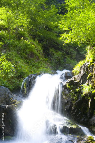 Bachlauf in Österreich