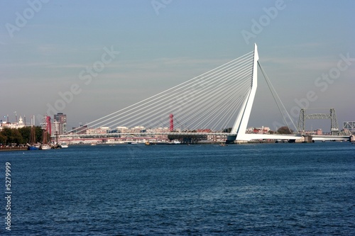 The Erasmus Bridge in Rotterdam