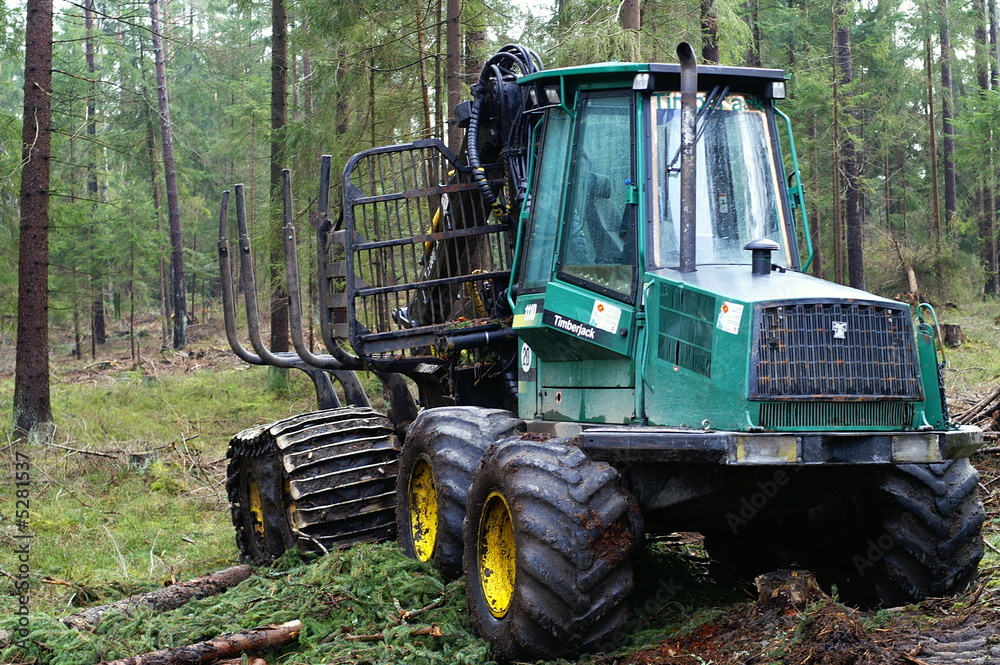 Fototapeta premium maschinelle holzernte