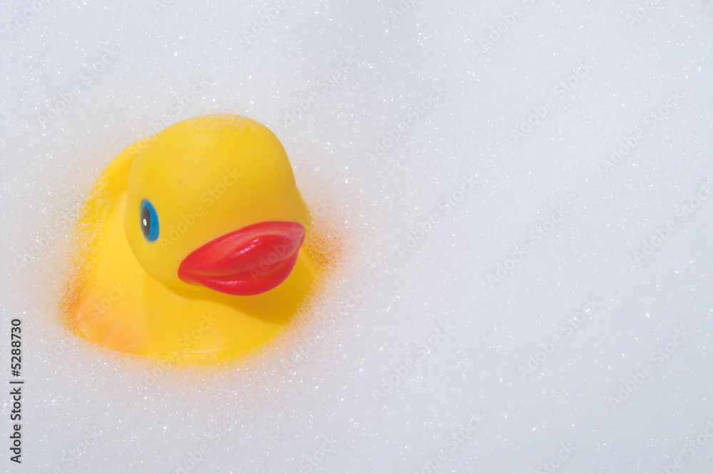 Rubber Duck in a Bubble Bath Rubber Duck in a Bubble Bath