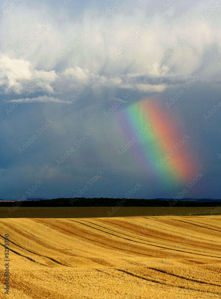 champ et arc en ciel champ et arc en ciel