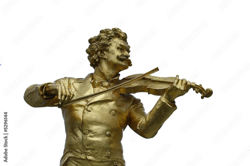 Obraz premium VIOLON